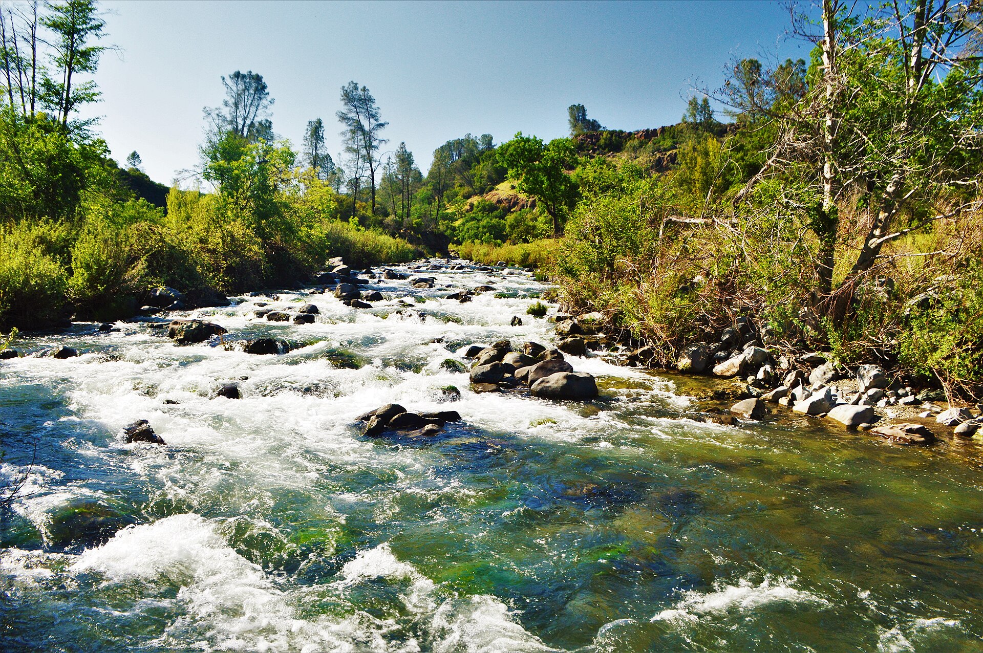 Putah_Creek_April_2018_Crystal_flats.jpg